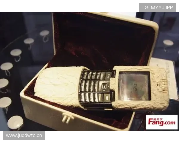 昌雅妮居然这么会花钱？朋友圈都快成她的奢侈品展览馆了！